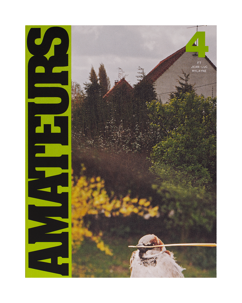 Magazine cover with a bird holding a stick in a natural setting, featuring the word 'AMATEURS' on the left.