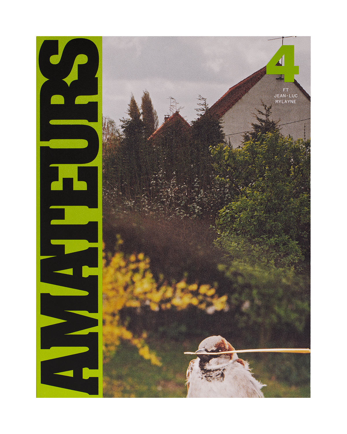 Magazine cover with a bird holding a stick in a natural setting, featuring the word 'AMATEURS' on the left.