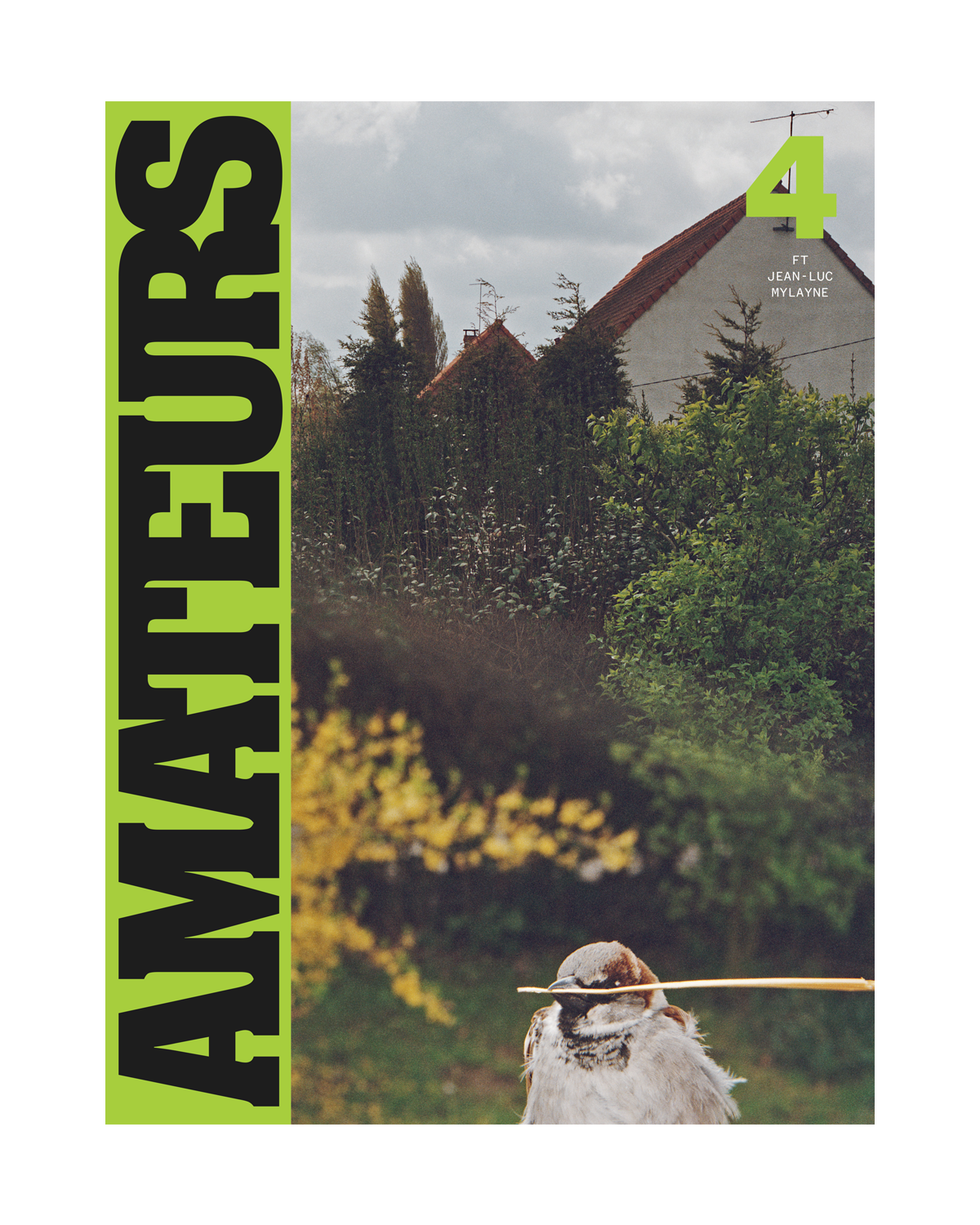 Amateurs Issue 4 2026 (Bird Cover)